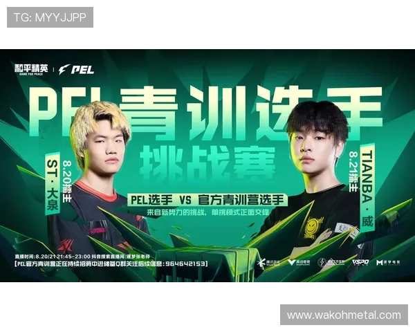 打造电竞职业联赛新格局推动行业发展与创新融合之路