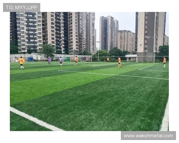 绿茵逐梦激情绽放世界足球运动的荣耀与传奇