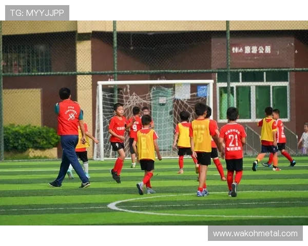 《探索全球体育趋势与发展：从竞技项目到全民健身的未来之路》