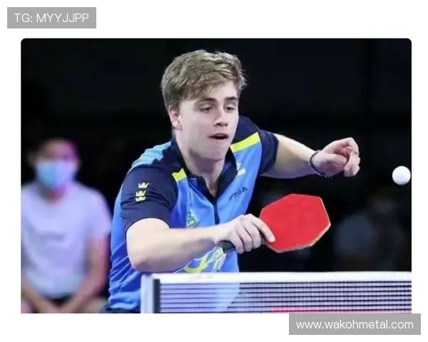 乒乓球技术与战术深度解析 提升竞技水平与实战能力的全方位指南