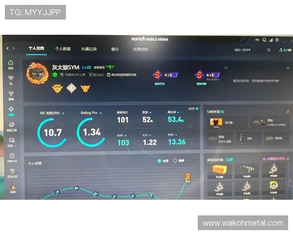 LNG在CSGO比赛中的区域防守策略分析与成效评估