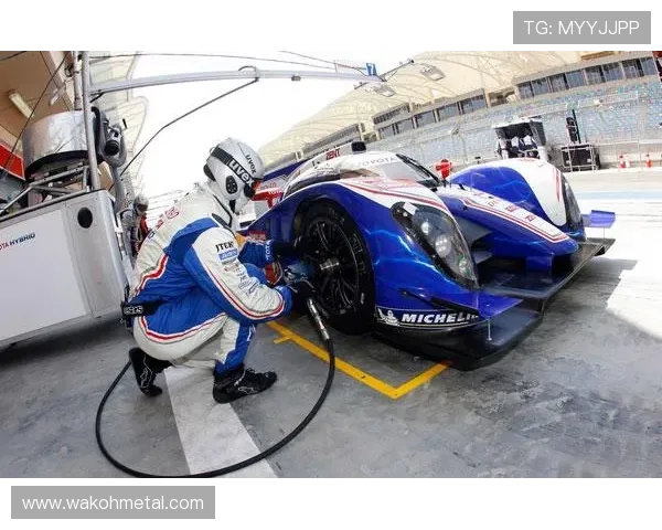 上海排球队在欧锦赛中的逆袭之路展现团结与拼搏精神的辉煌篇章