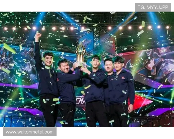 南京篮球队的奋进之路：城市联赛中的荣耀与挑战