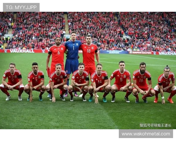 南京羽毛球队在世界杯预选赛中的状态分析与表现评估