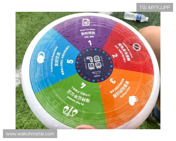 南京飞盘队反击战术解析与实战应用全景分析