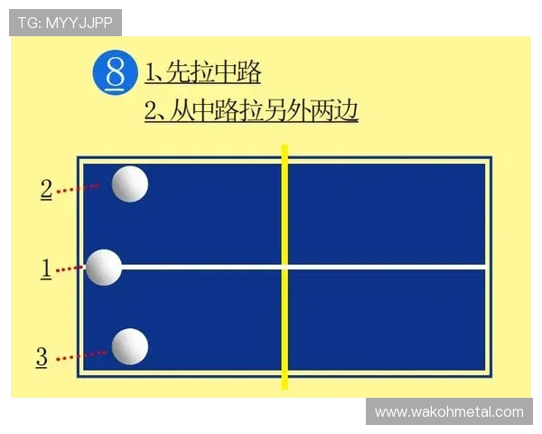 广州乒乓球队灵活性表现的数据分析与战术研究探讨