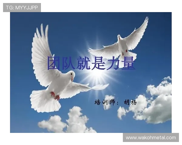 武汉篮球队逆袭之路揭秘大师赛特别报道展现奋斗精神与团队力量