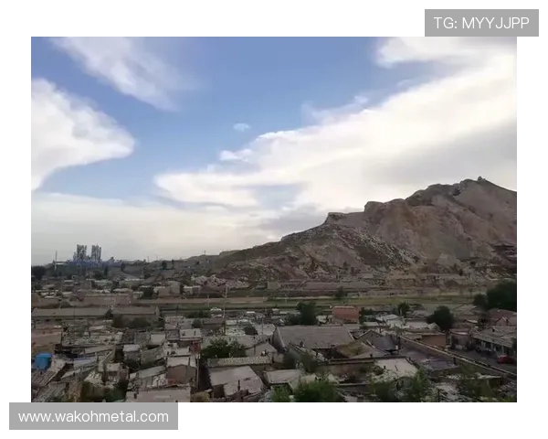 武汉飞盘队的反击之路：从热潮到崛起的全景解读