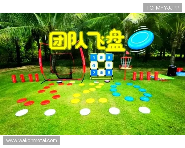 飞盘灵活性评比揭晓杭州飞盘队荣登第十名引关注