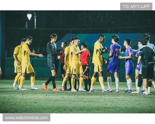 深圳新鹏城主场鏖战梅州客家激情对决演绎南粤足球巅峰盛宴 深圳新鹏城主场鏖战梅州客家激情对决演绎南粤足球巅峰盛宴